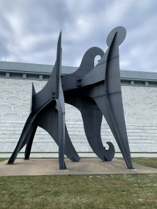 IMG_8240