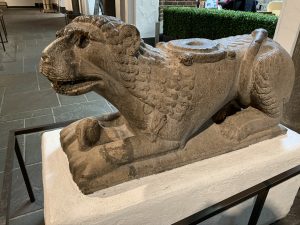 IMG_8254