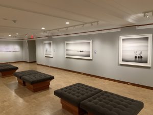 IMG_8257
